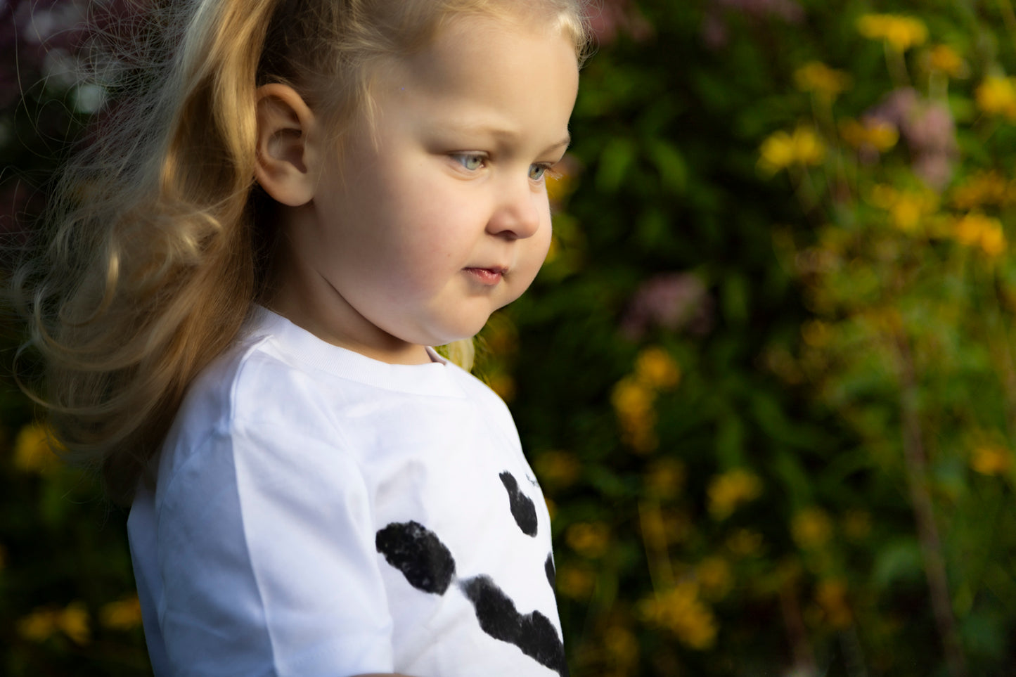 Jauno ceļotāju kolekcija