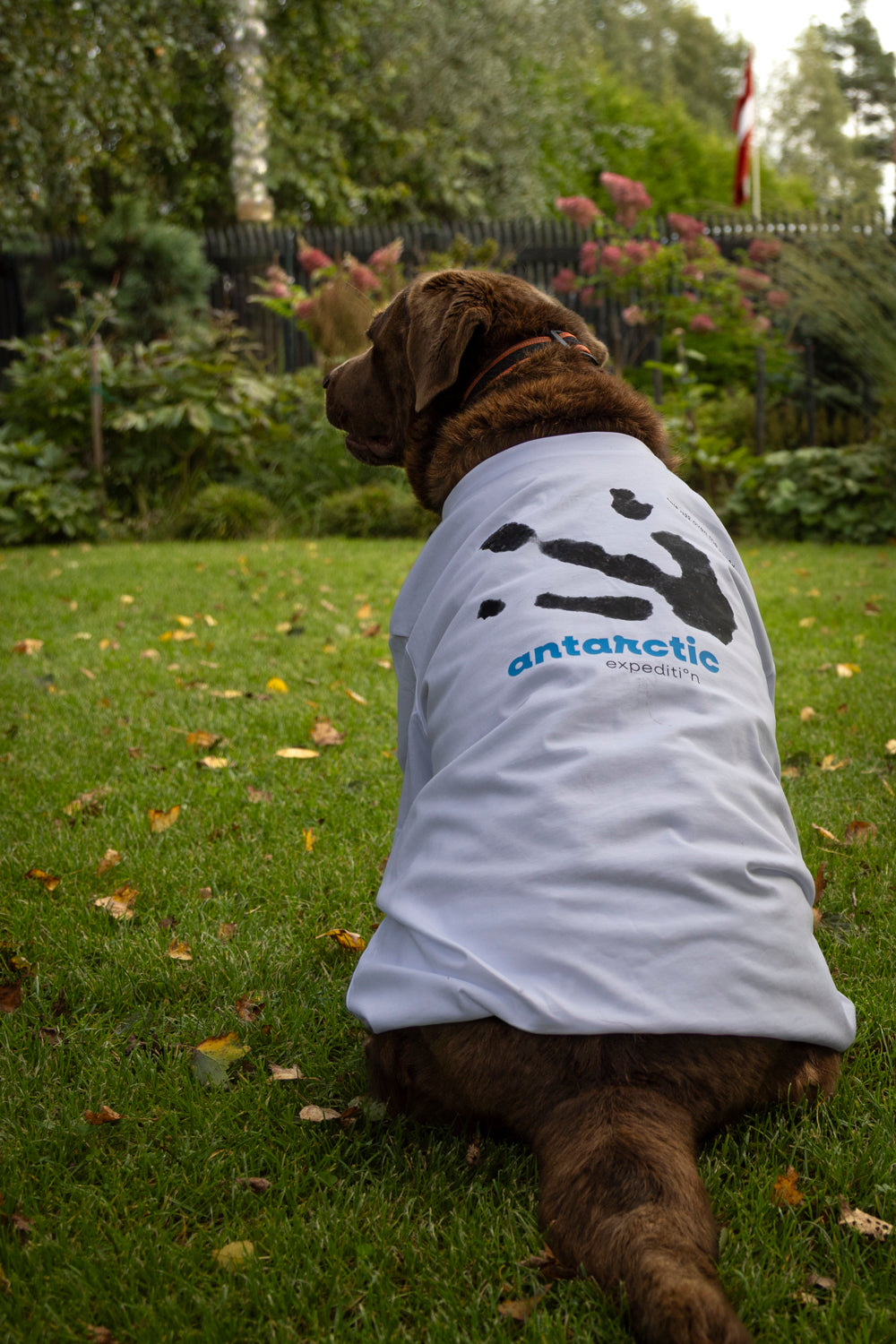 Ceļotāja kolekcija