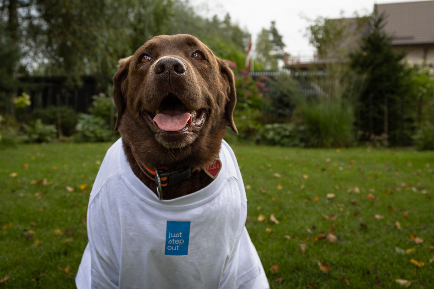 Ceļotāja kolekcija