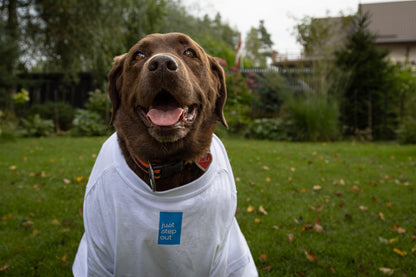 Ceļotāja kolekcija